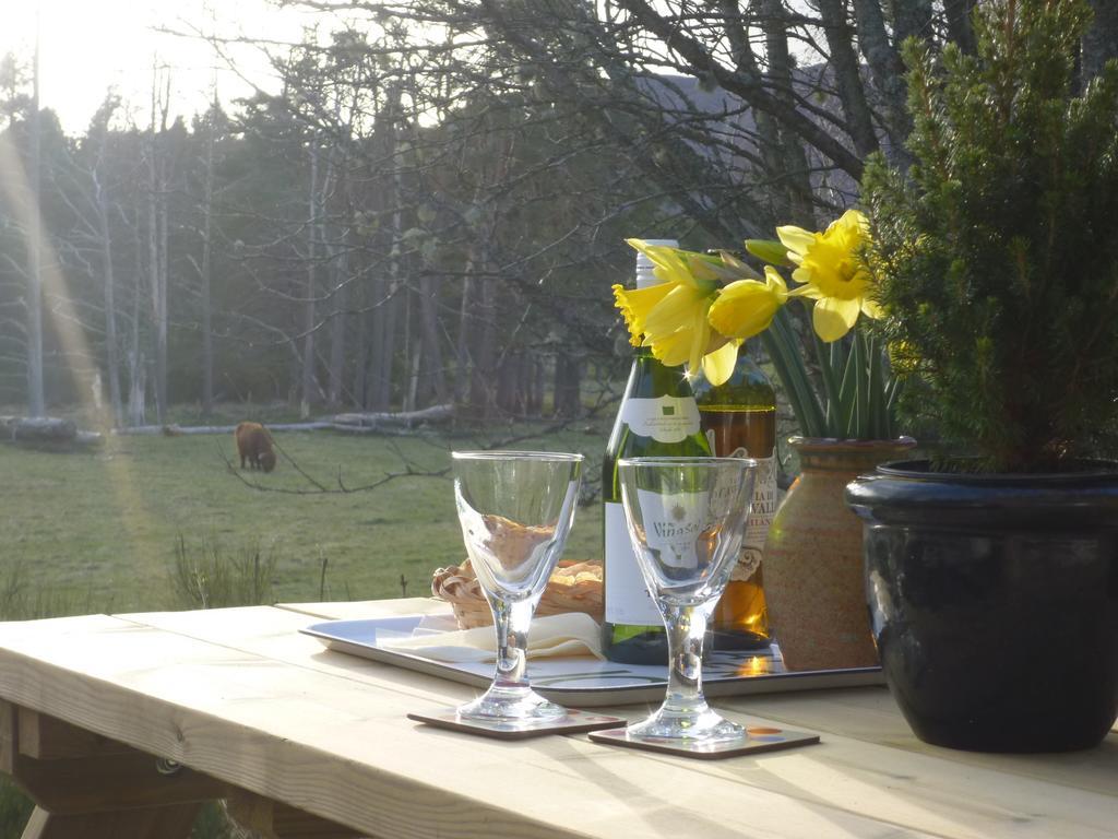 Camusmore House Aviemore Bagian luar foto